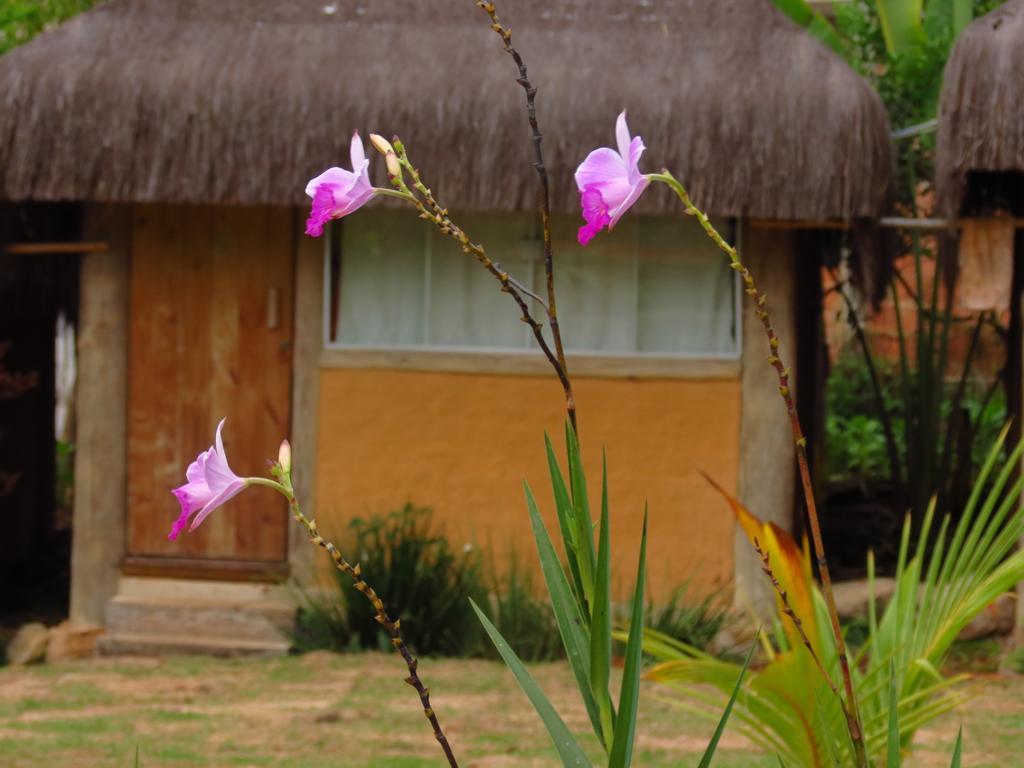Pousada Bangalo De Barro Paraty Buitenkant foto